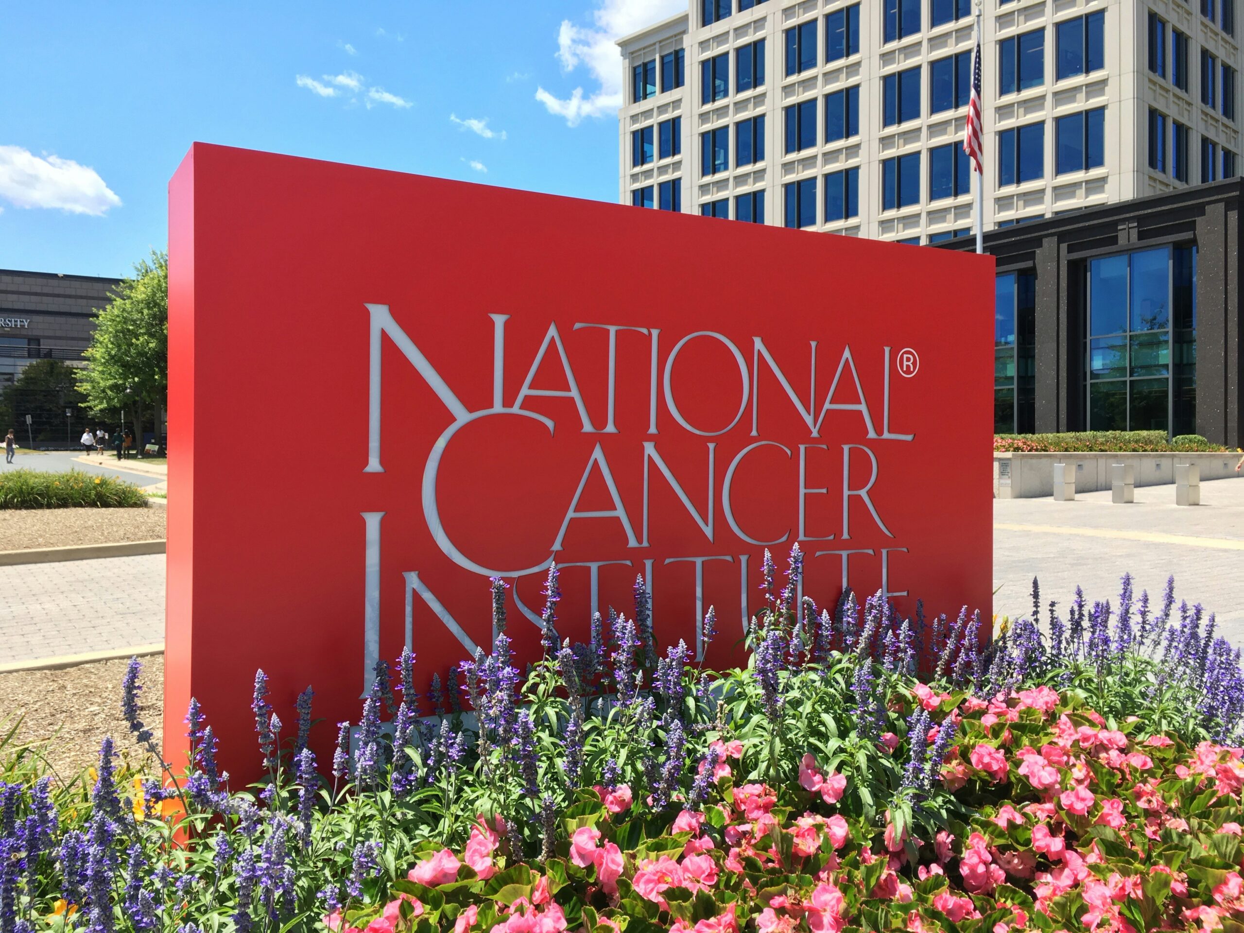 A red sign with the words National Cancer Institute written in white behind pink and purple flowers. A building is situated behind the sign and the blue sky is seen in the upper left hand corner.